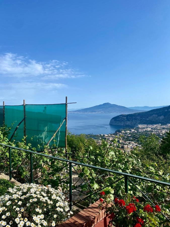Villa Monica B&B 소렌토 외부 사진
