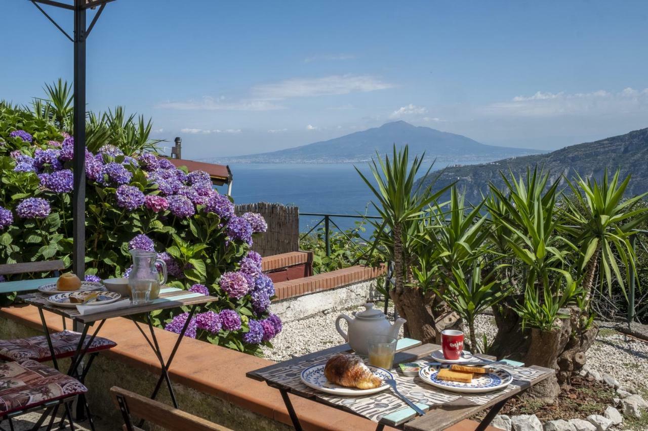 Villa Monica B&B 소렌토 외부 사진